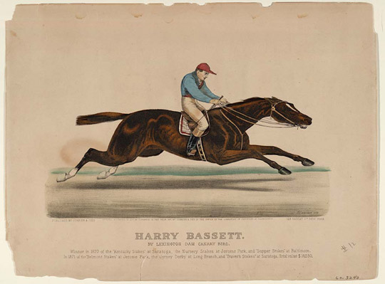 harry-bassett.jpg (540x399; 45 KBytes)