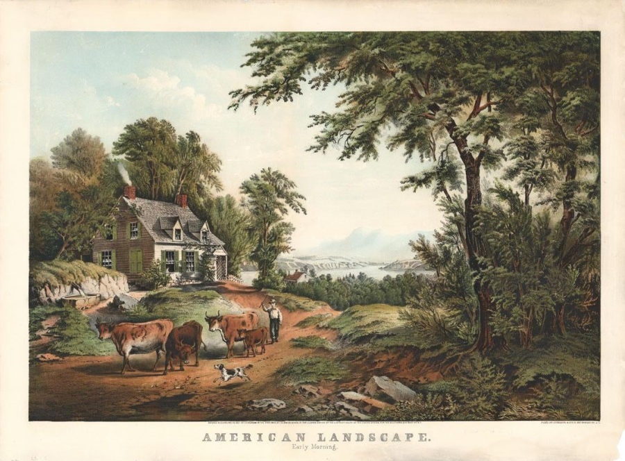 american-landscape.jpg (900x664; 149 KBytes)