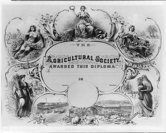 c0067.jpg (550x442; 67 KBytes)