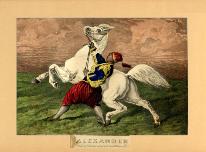 C0073.jpg (675x500; 86 KBytes)