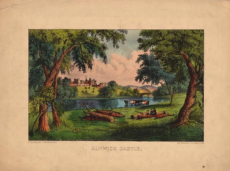 C0087.jpg (800x596; 107 KBytes)