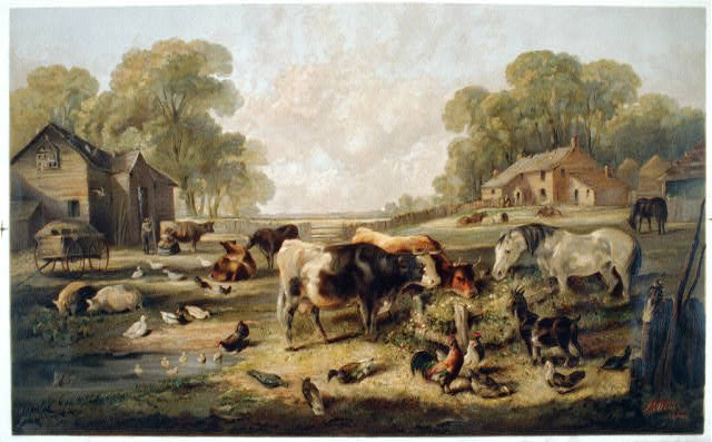 c0131.jpg (640x397; 45 KBytes)