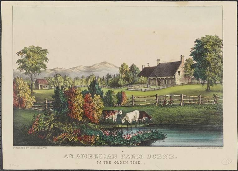 C0132.jpg (764x550; 64 KBytes)