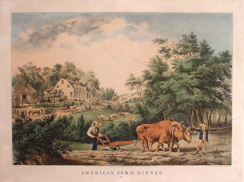 C0134.jpg (832x622; 159 KBytes)