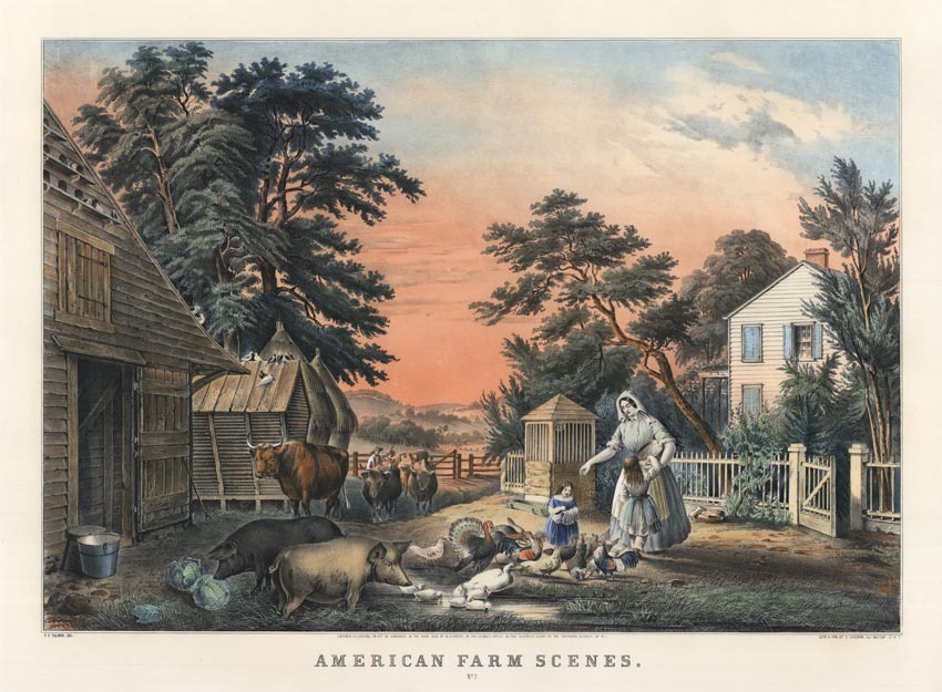 c0135.jpg (850x625; 165 KBytes)