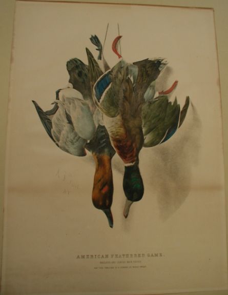 c0140.jpg (445x575; 20 KBytes)