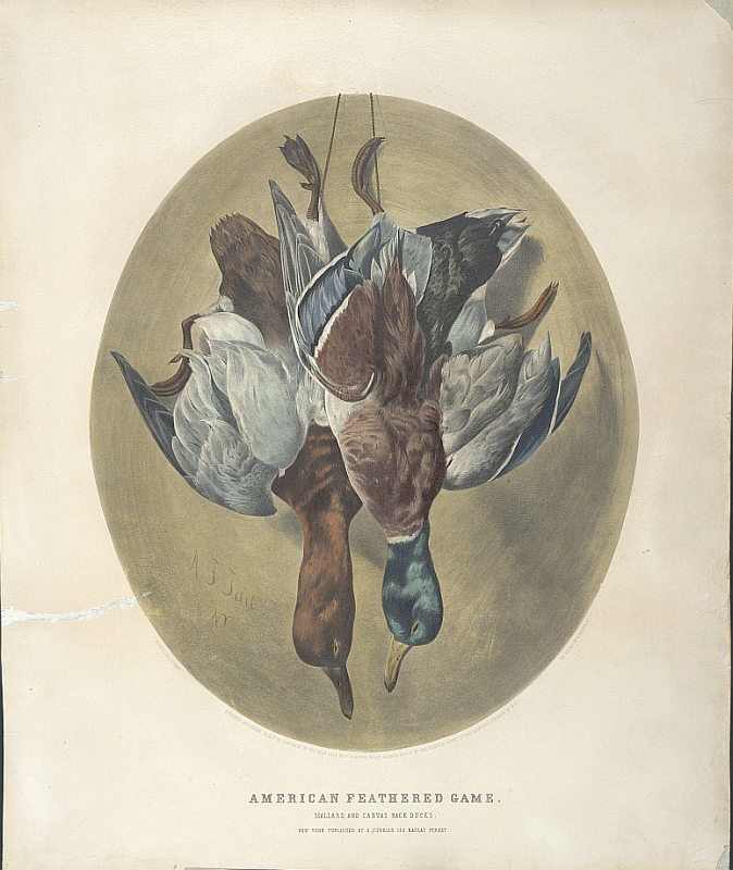 c0141.jpg (674x800; 463 KBytes)