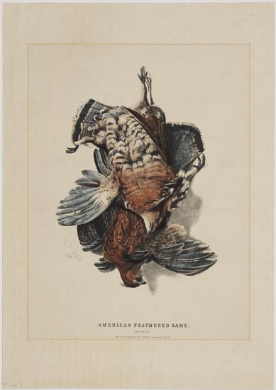 c0142.jpg (389x550; 21 KBytes)