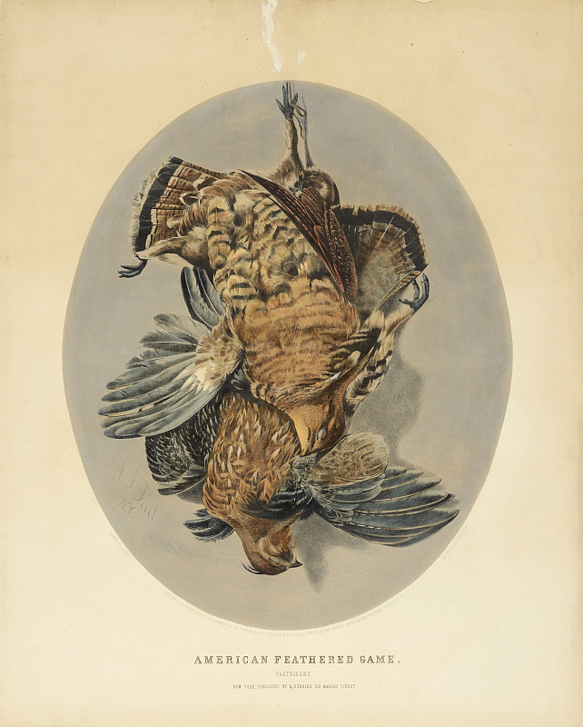 c0143.jpg (642x800; 390 KBytes)