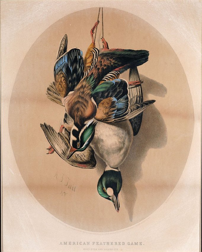 c0145.jpg (424x575; 17 KBytes)