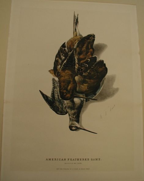 C0146.jpg (471x593; 19 KBytes)