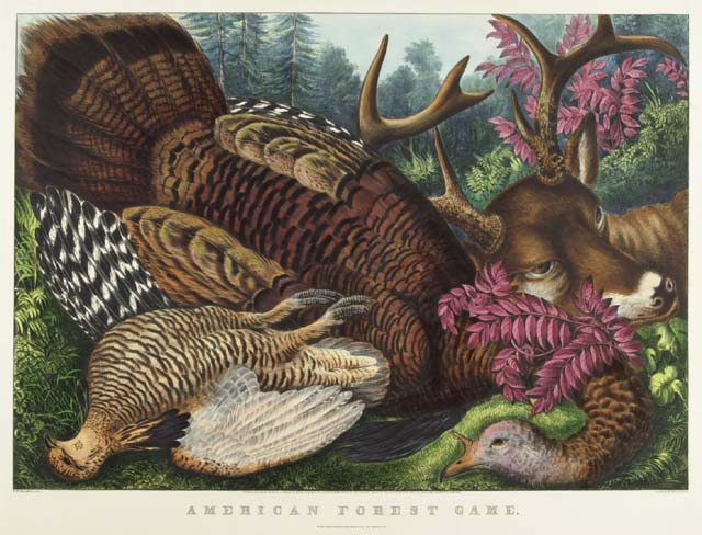 C0156.jpg (640x488; 70 KBytes)