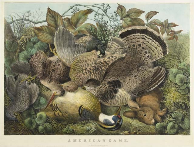 C0163.jpg (640x486; 93 KBytes)