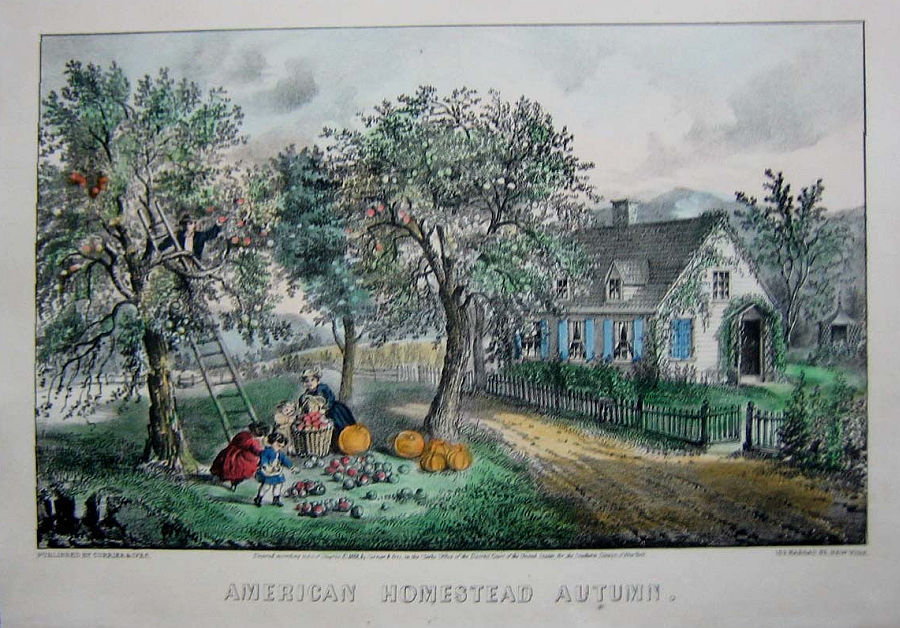 C0168.jpg (900x628; 152 KBytes)
