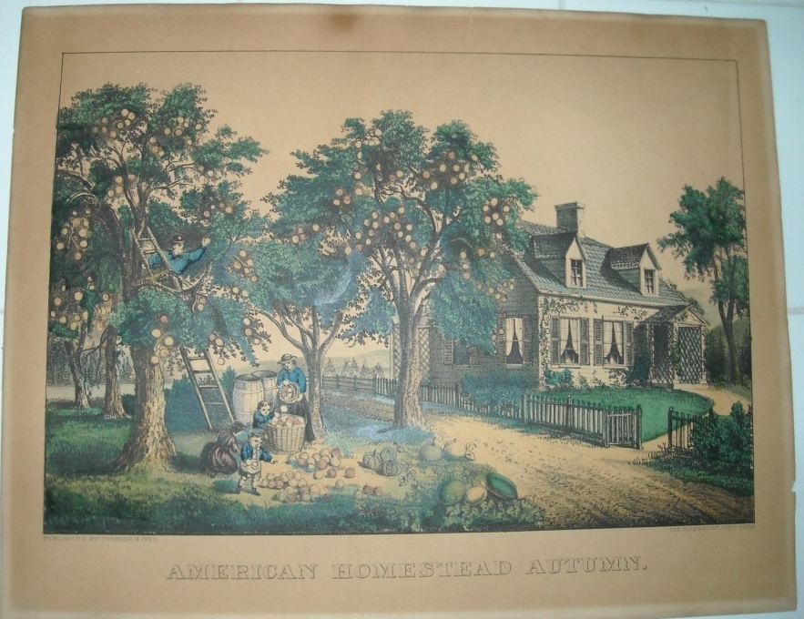 C0169.jpg (883x680; 440 KBytes)