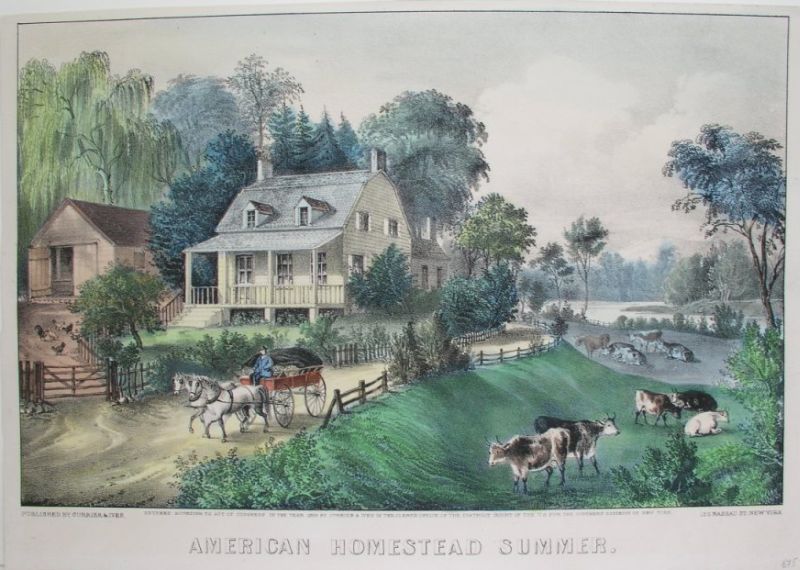 C0171.jpg (800x570; 87 KBytes)