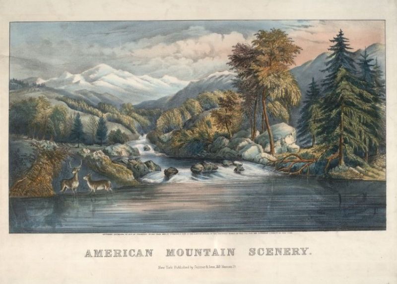 C0179.jpg (800x572; 75 KBytes)
