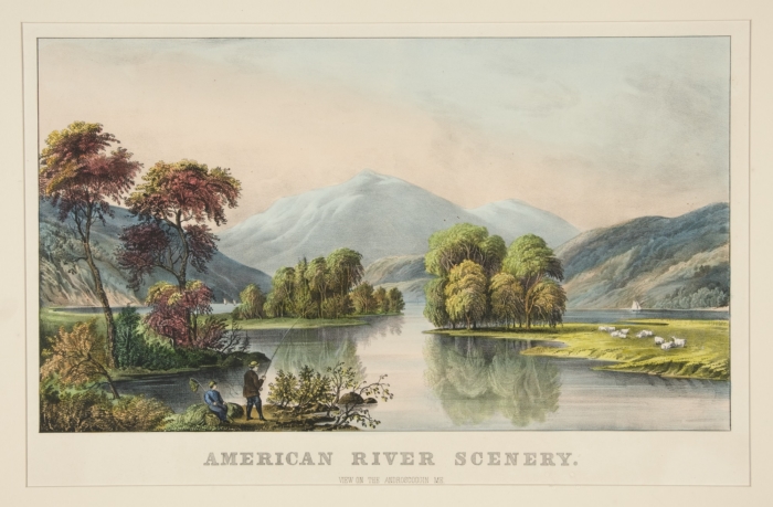 C0190.jpg (700x459; 235 KBytes)