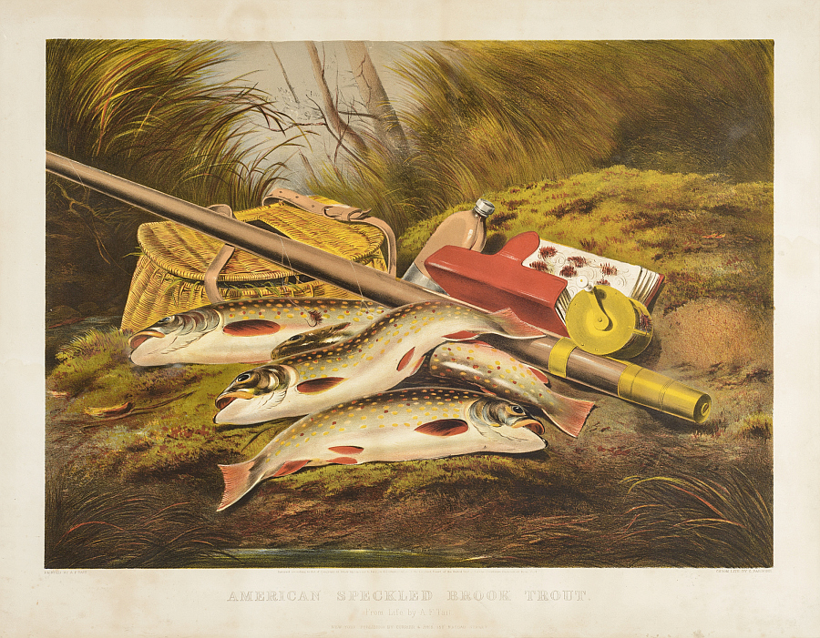 C0195.jpg (900x701; 766 KBytes)