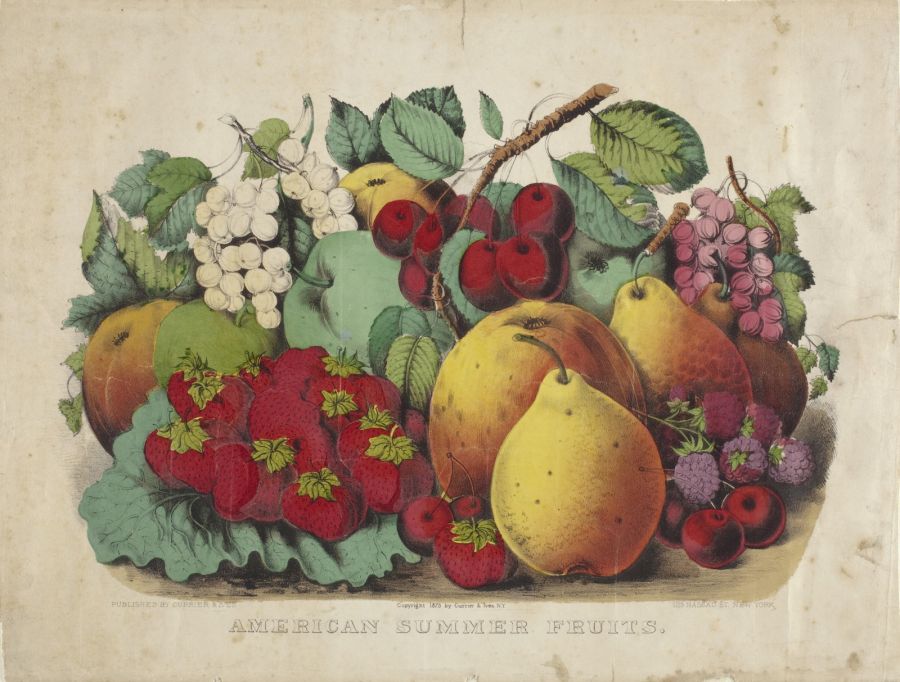 c0197.jpg (900x682; 98 KBytes)