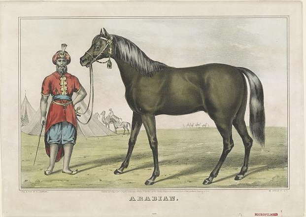 c0252.jpg (621x440; 149 KBytes)