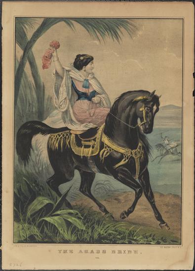 C0253.jpg (395x550; 36 KBytes)