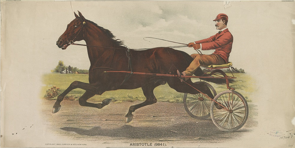 C0268.JPG (979x492; 146 KBytes)