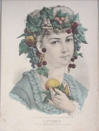 C0312.jpg (339x450; 21 KBytes)