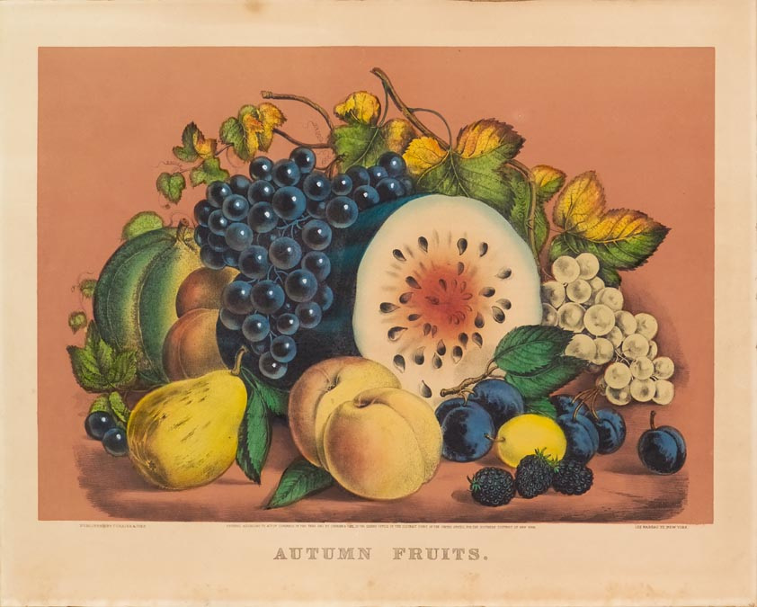 C0317.jpg (842x675; 148 KBytes)
