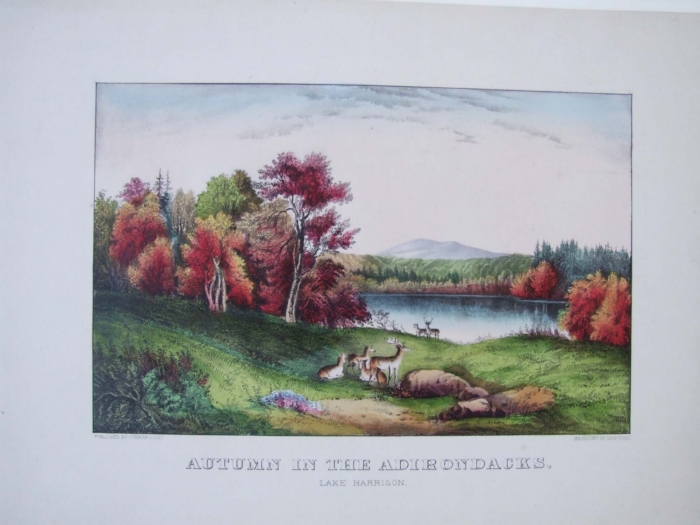 C0323.jpg (700x525; 209 KBytes)