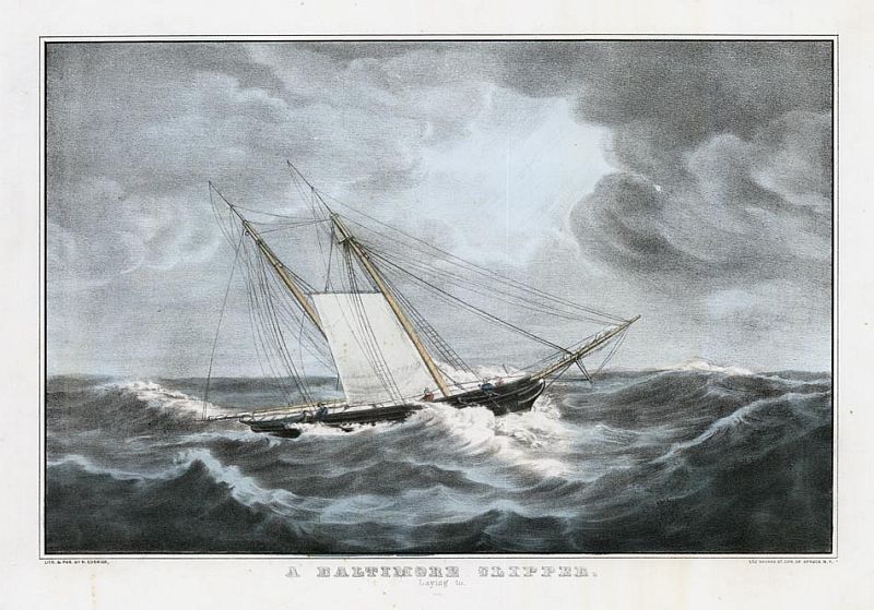 C0353.jpg (800x559; 97 KBytes)