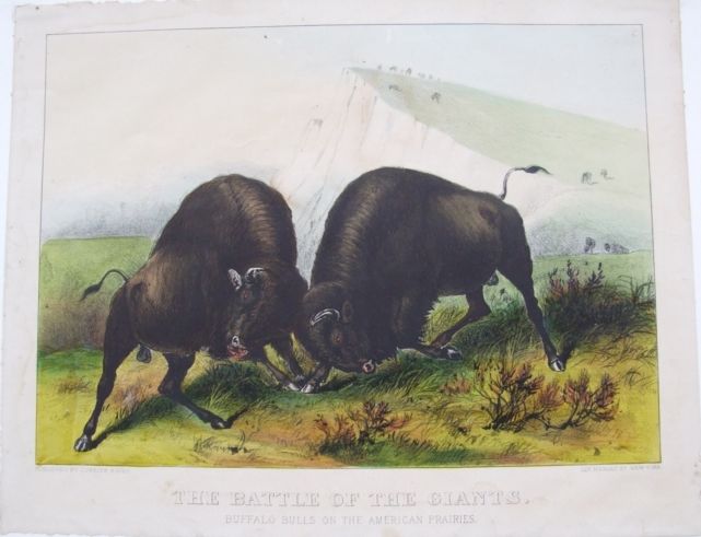 C0432.jpg (641x491; 45 KBytes)