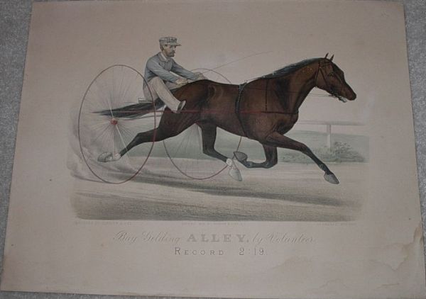 c0440.jpg (600x422; 33 KBytes)