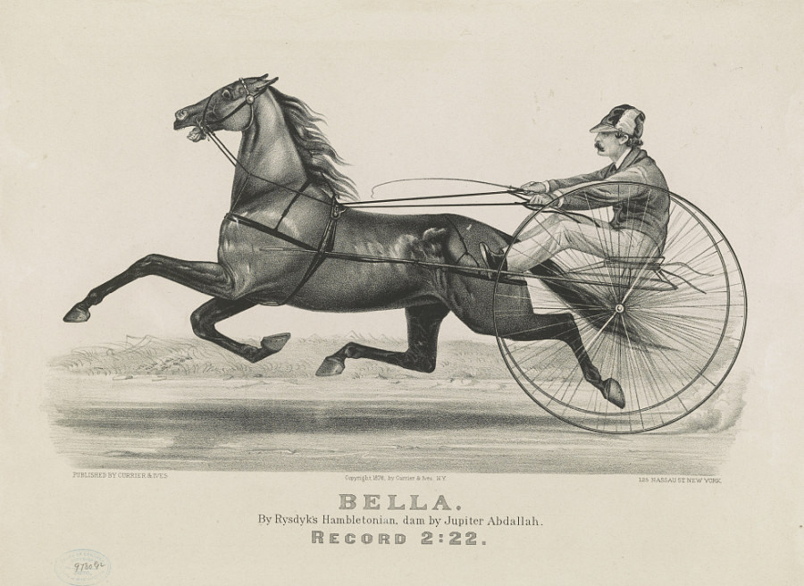 c0485.jpg (900x656; 149 KBytes)