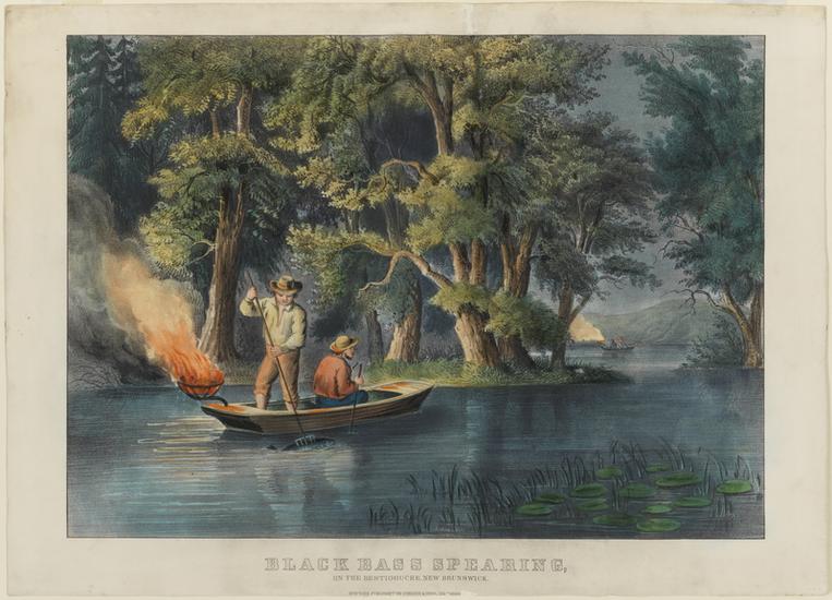 c0543.jpg (763x550; 66 KBytes)