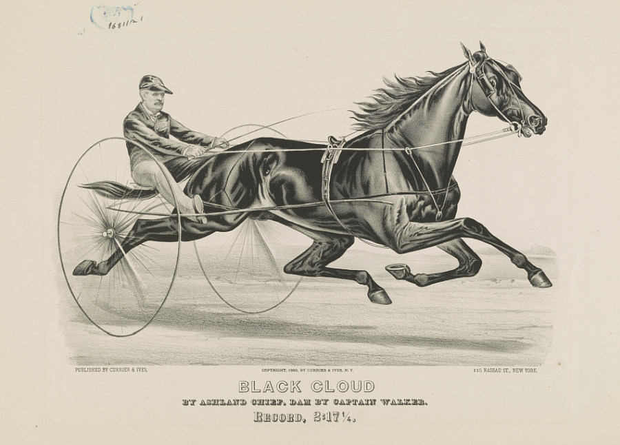 c0546.jpg (900x646; 143 KBytes)