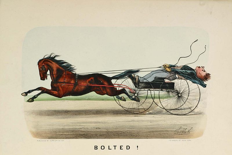 C0587.jpg (800x535; 81 KBytes)