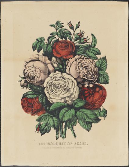 c0636.jpg (423x550; 37 KBytes)