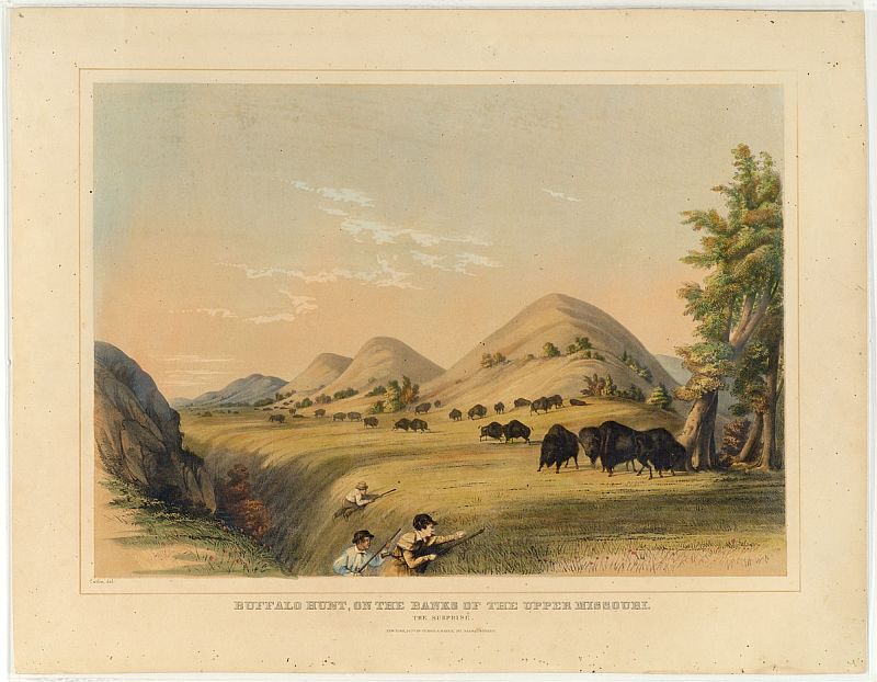 C0727.jpg (800x622; 113 KBytes)