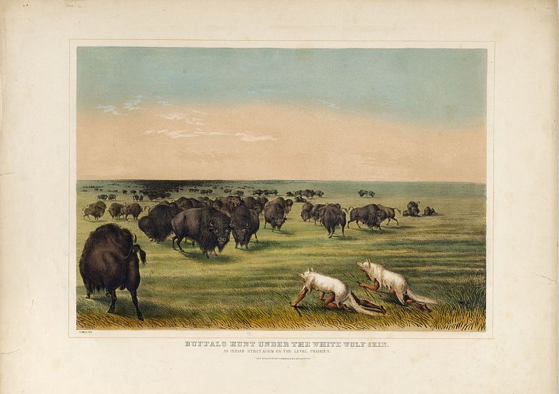 c0728.jpg (783x552; 100 KBytes)