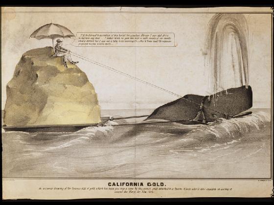 c0767.jpg (560x420; 40 KBytes)