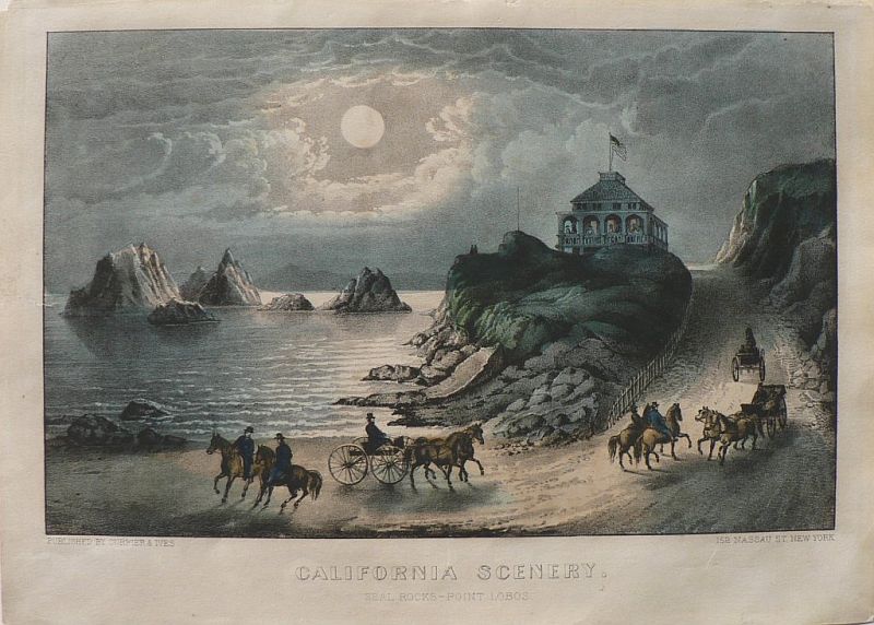C0768.jpg (800x572; 101 KBytes)