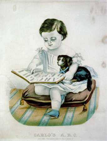 C0818.jpg (342x450; 15 KBytes)