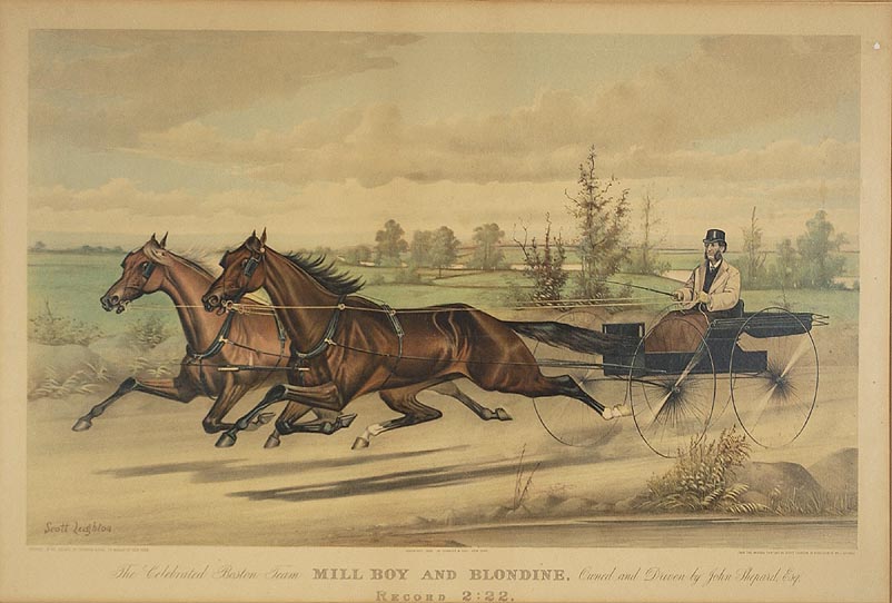 C0874.jpg (802x542; 87 KBytes)