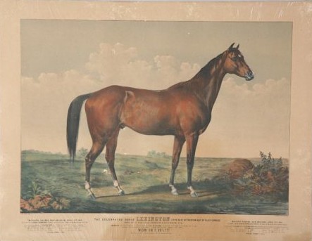 C0888.jpg (443x343; 30 KBytes)