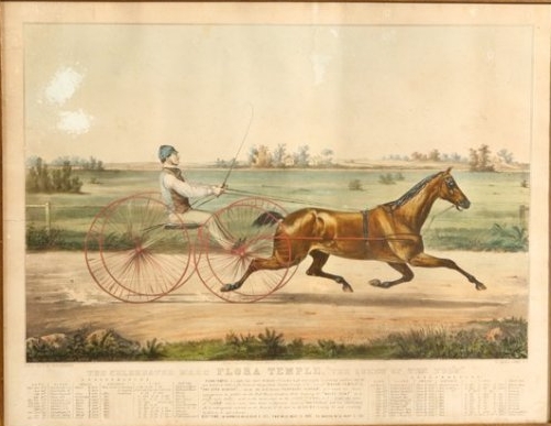 C0890.jpg (501x387; 121 KBytes)