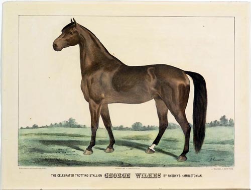 c0930.jpg (500x378; 67 KBytes)