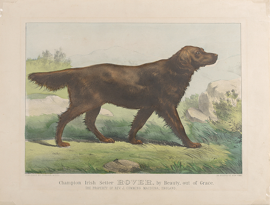 c0965.jpg (900x682; 570 KBytes)