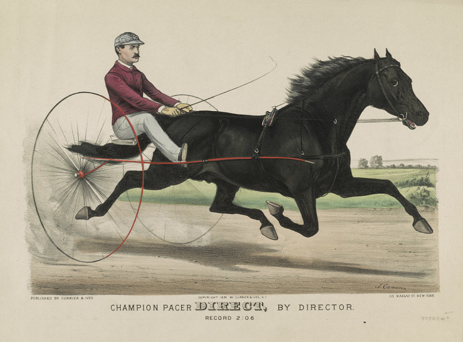 c0966.jpg (900x665; 141 KBytes)