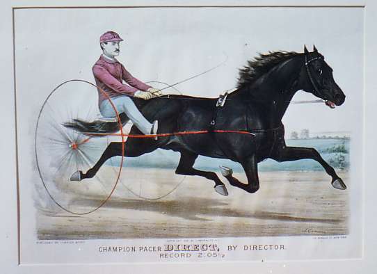 C0967.jpg (542x394; 22 KBytes)